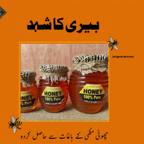 SIDR HONEY 500gram